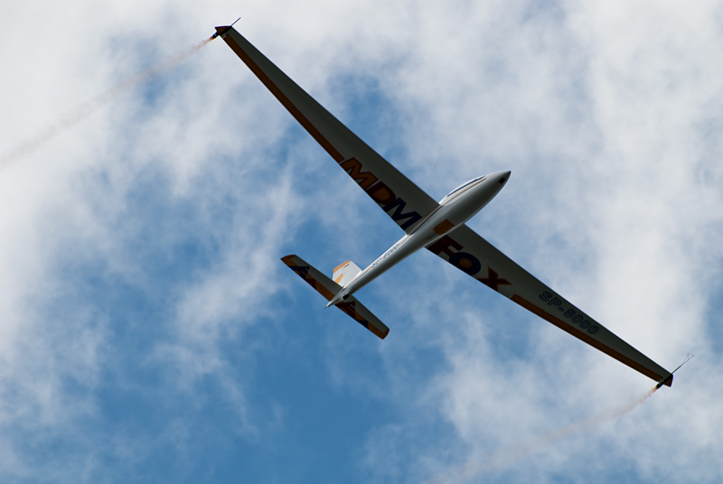 18_MPL_MDM-1 Solo Fox.jpg